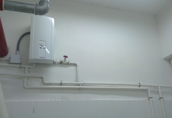 IMAG0196